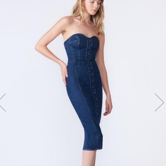 veronica beard denim dress